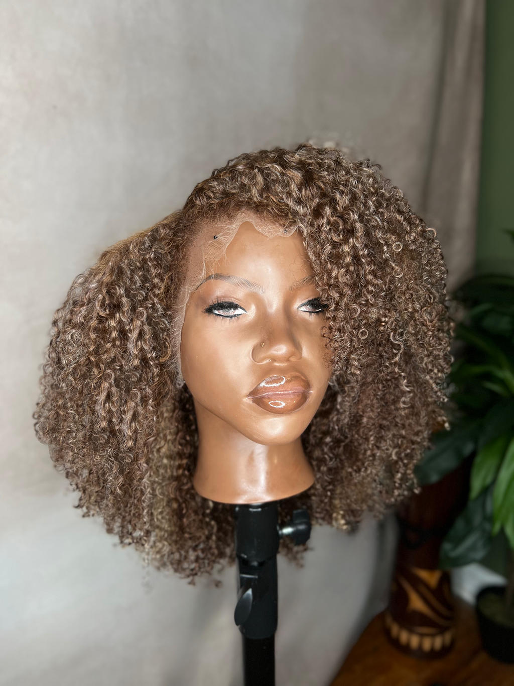 Brown high lighted 13x6  lace front wig