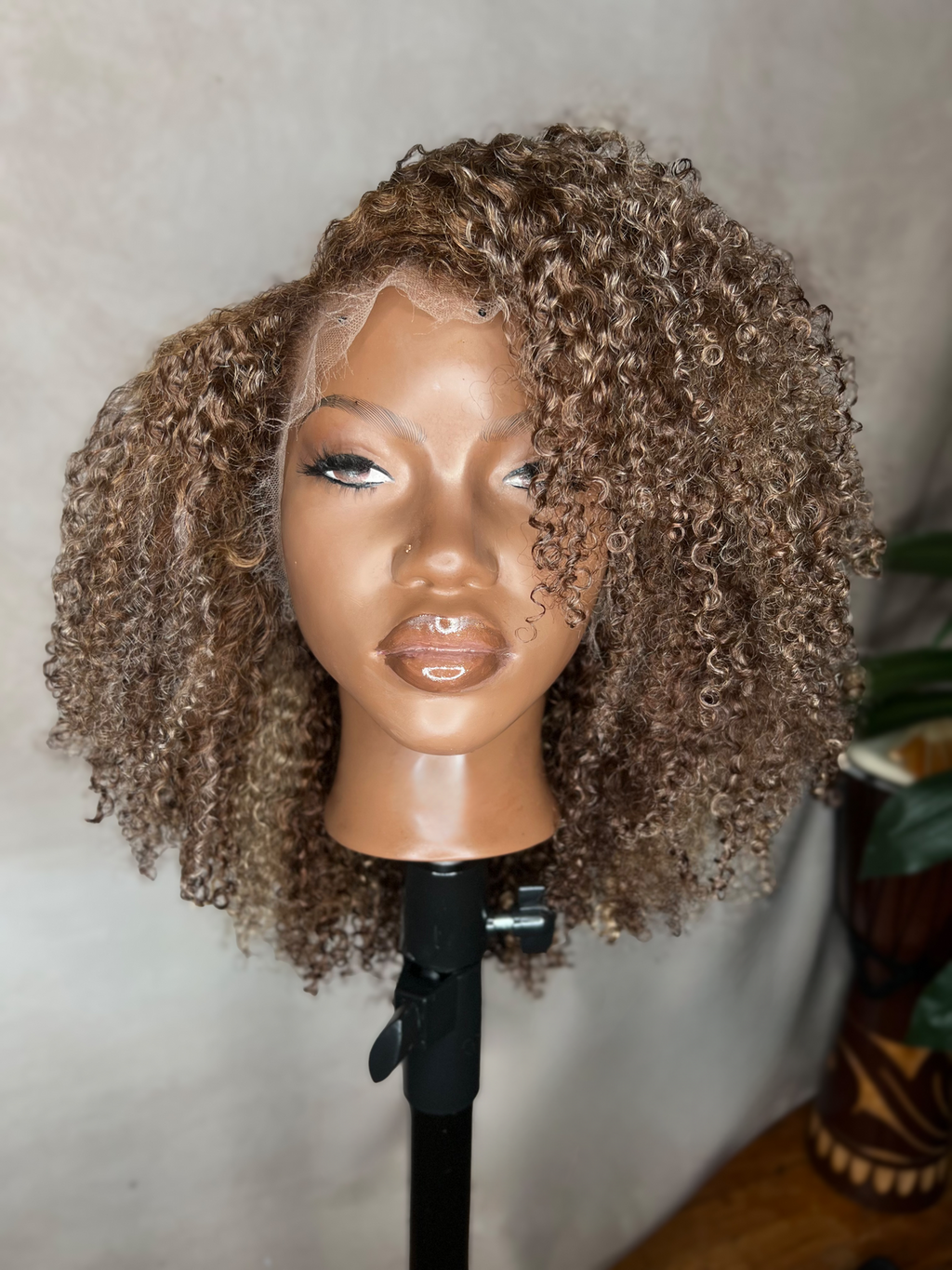 Brown high lighted 13x6  lace front wig
